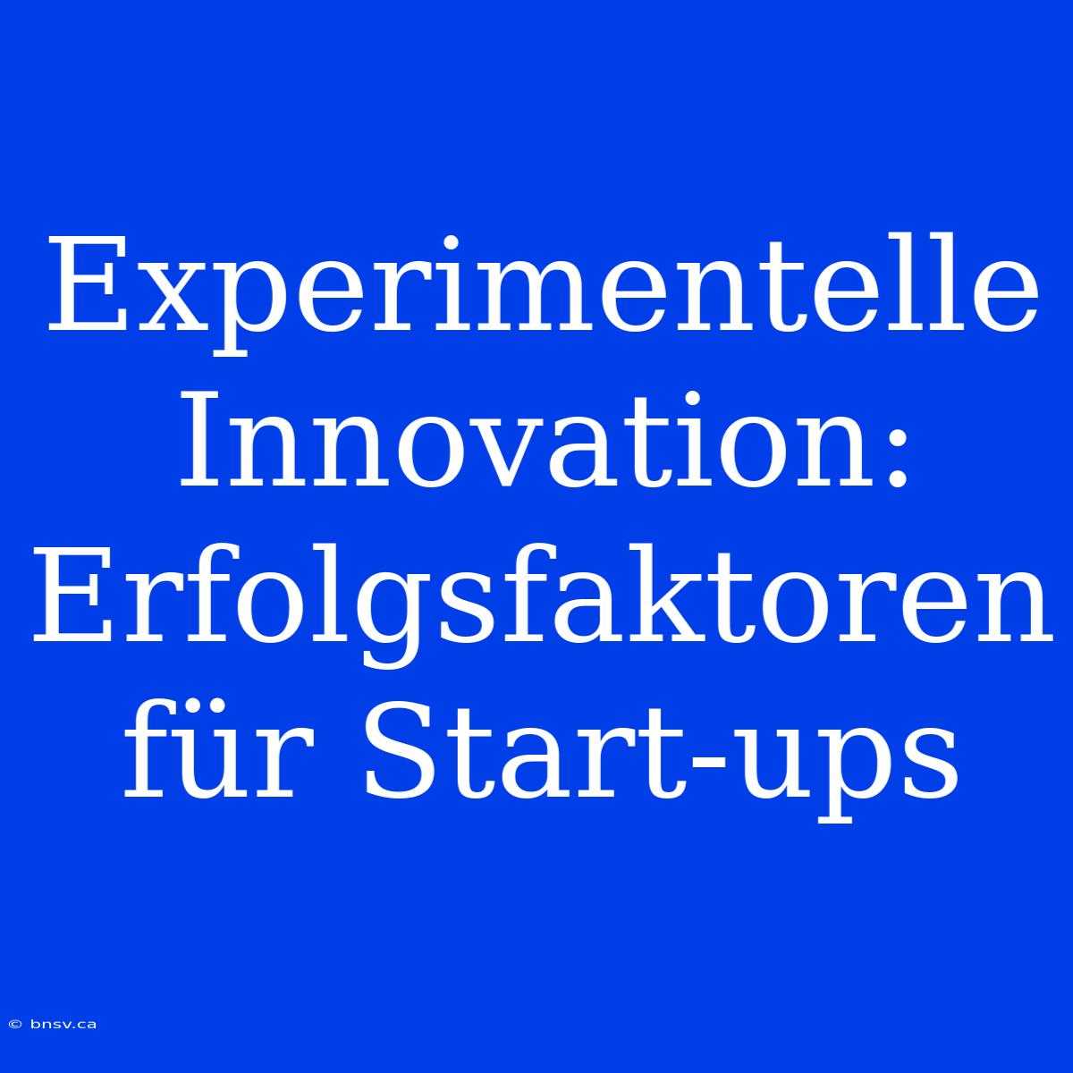 Experimentelle Innovation: Erfolgsfaktoren Für Start-ups