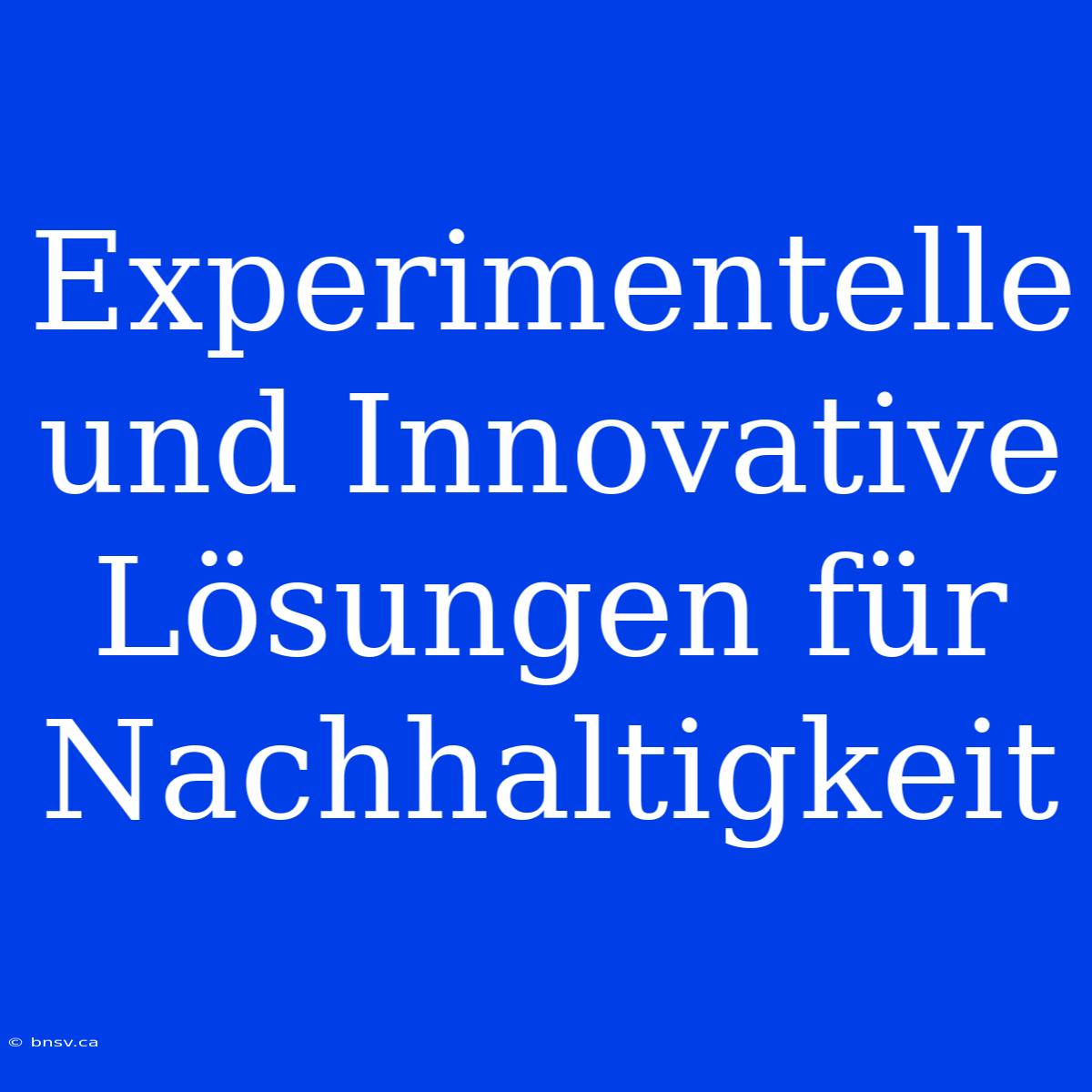 Experimentelle Und Innovative Lösungen Für Nachhaltigkeit