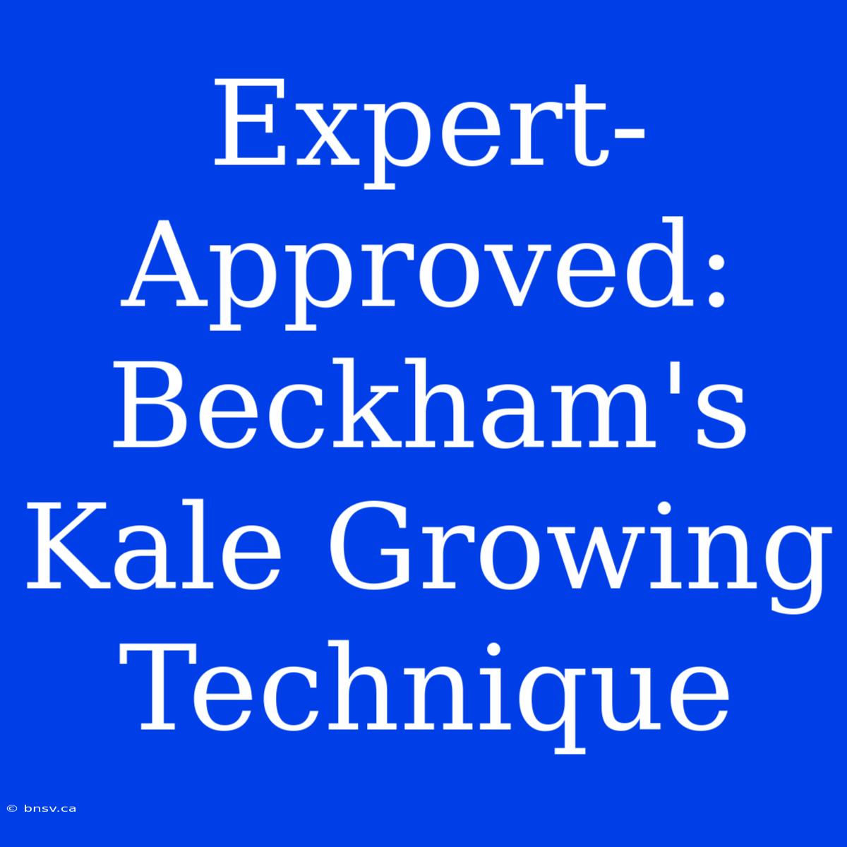 Expert-Approved: Beckham's Kale Growing Technique