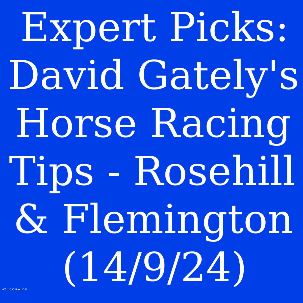 Expert Picks: David Gately's Horse Racing Tips - Rosehill & Flemington (14/9/24)