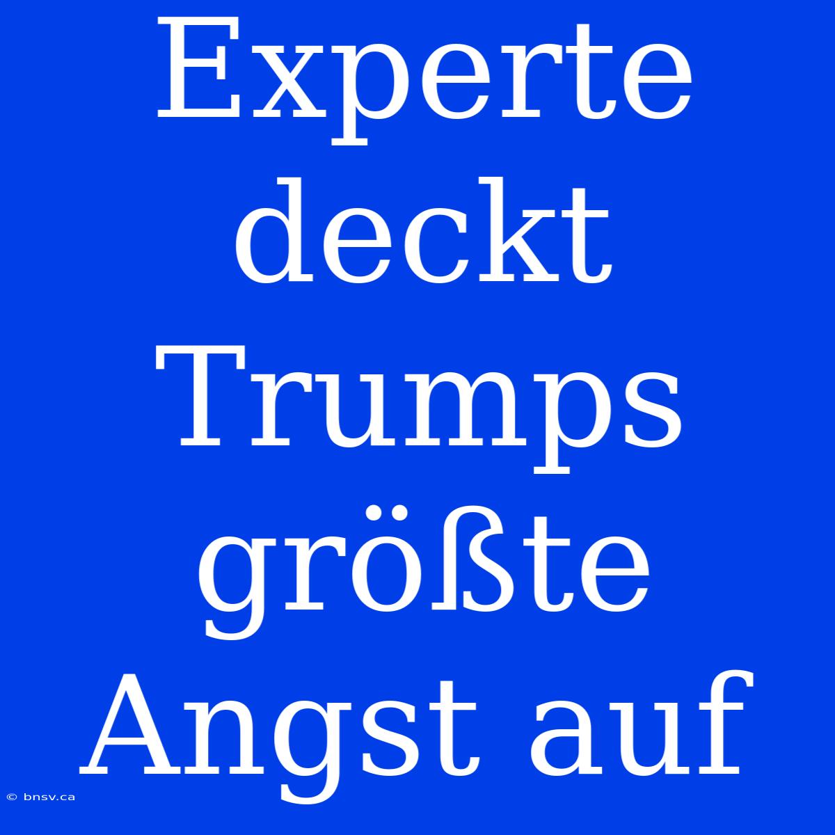 Experte Deckt Trumps Größte Angst Auf