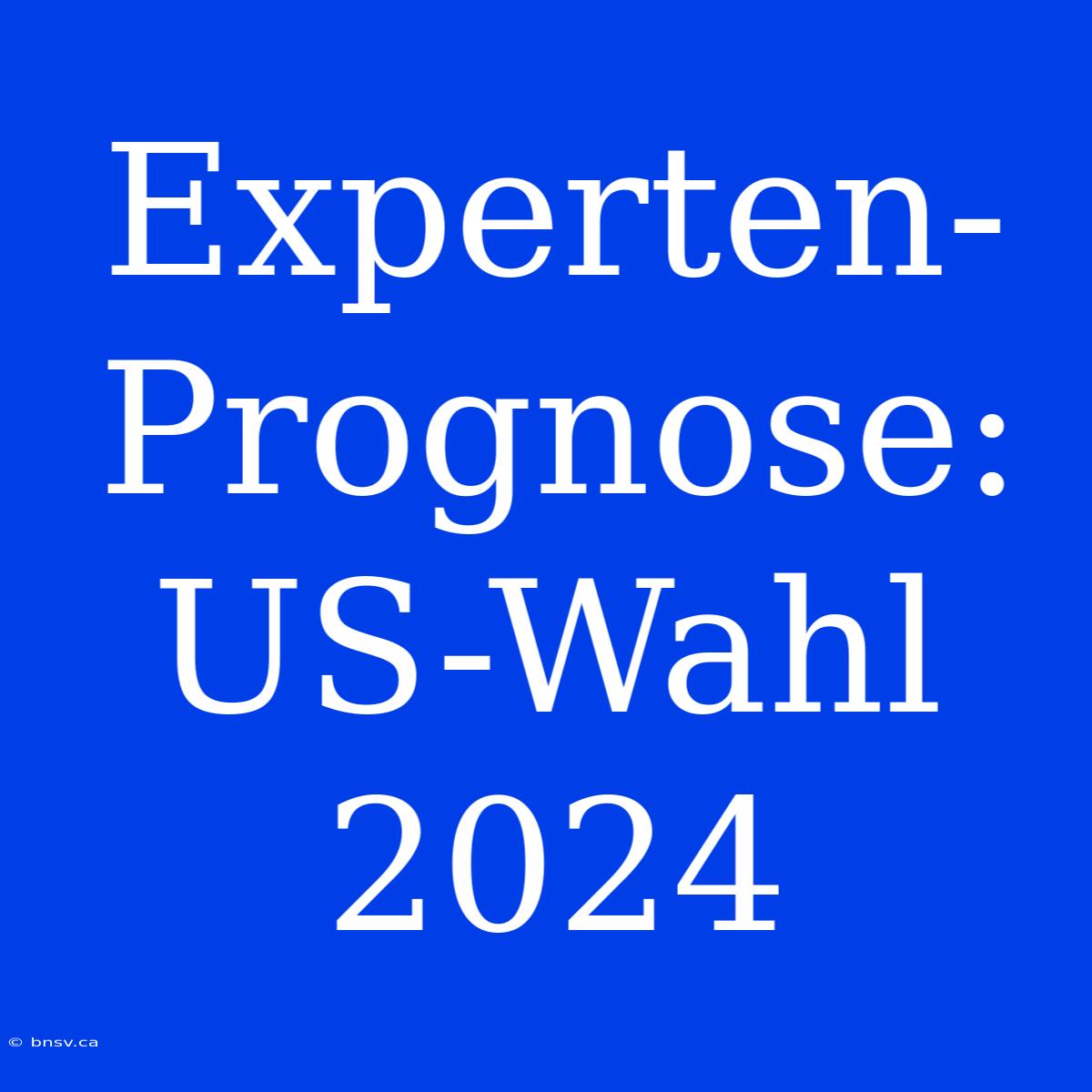 Experten-Prognose: US-Wahl 2024