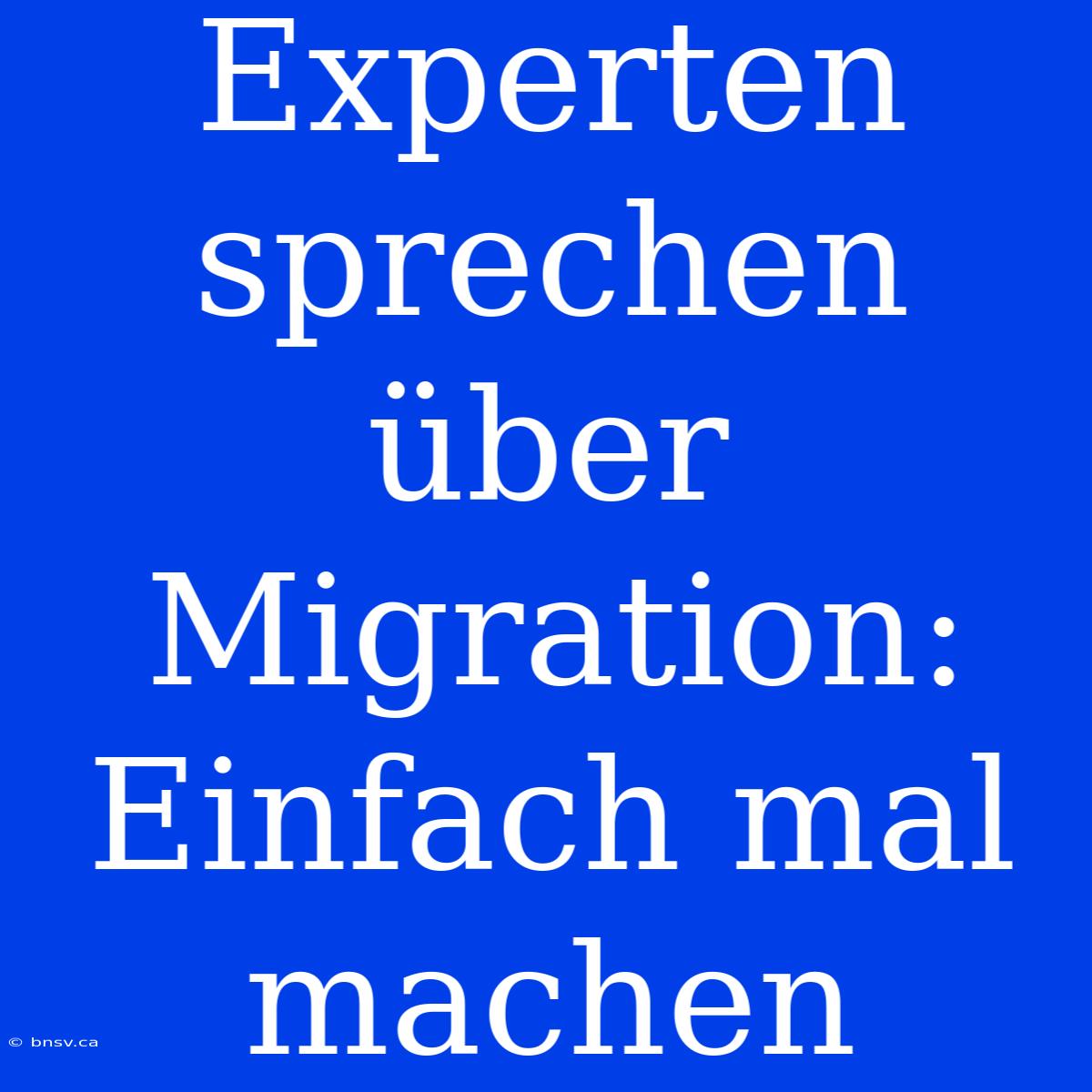 Experten Sprechen Über Migration: Einfach Mal Machen