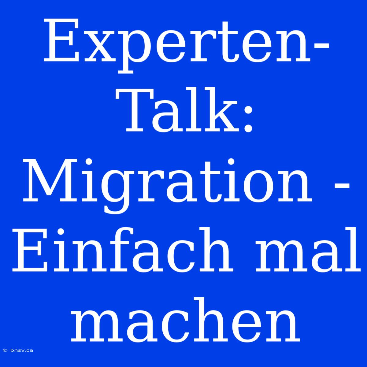 Experten-Talk: Migration - Einfach Mal Machen