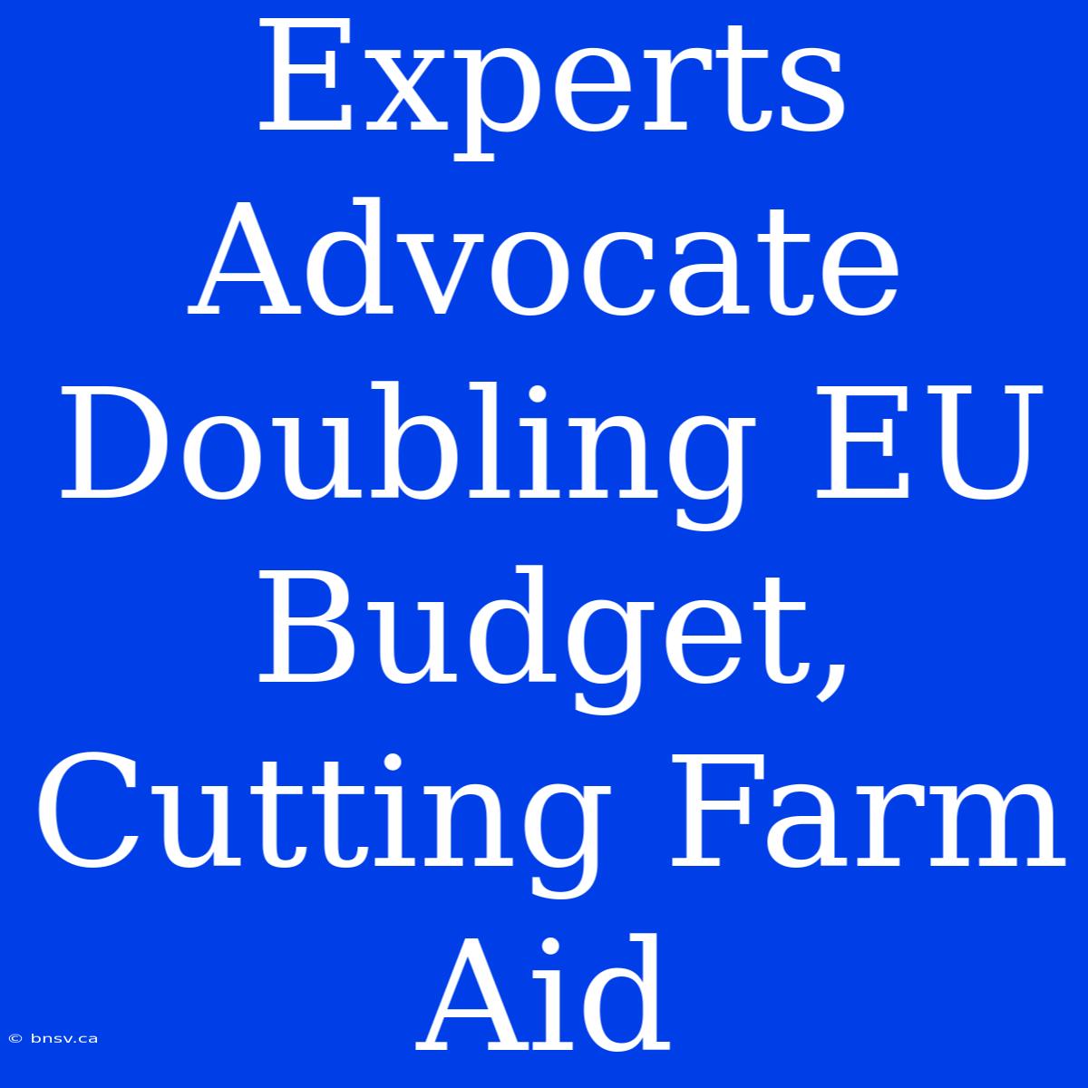 Experts Advocate Doubling EU Budget, Cutting Farm Aid