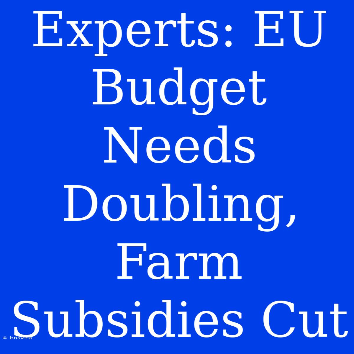 Experts: EU Budget Needs Doubling, Farm Subsidies Cut