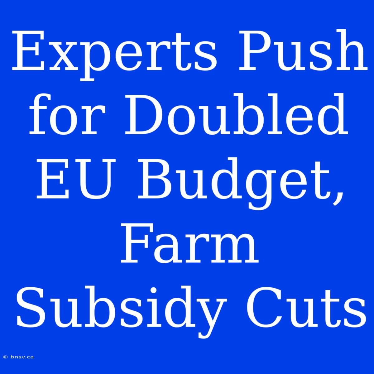 Experts Push For Doubled EU Budget, Farm Subsidy Cuts