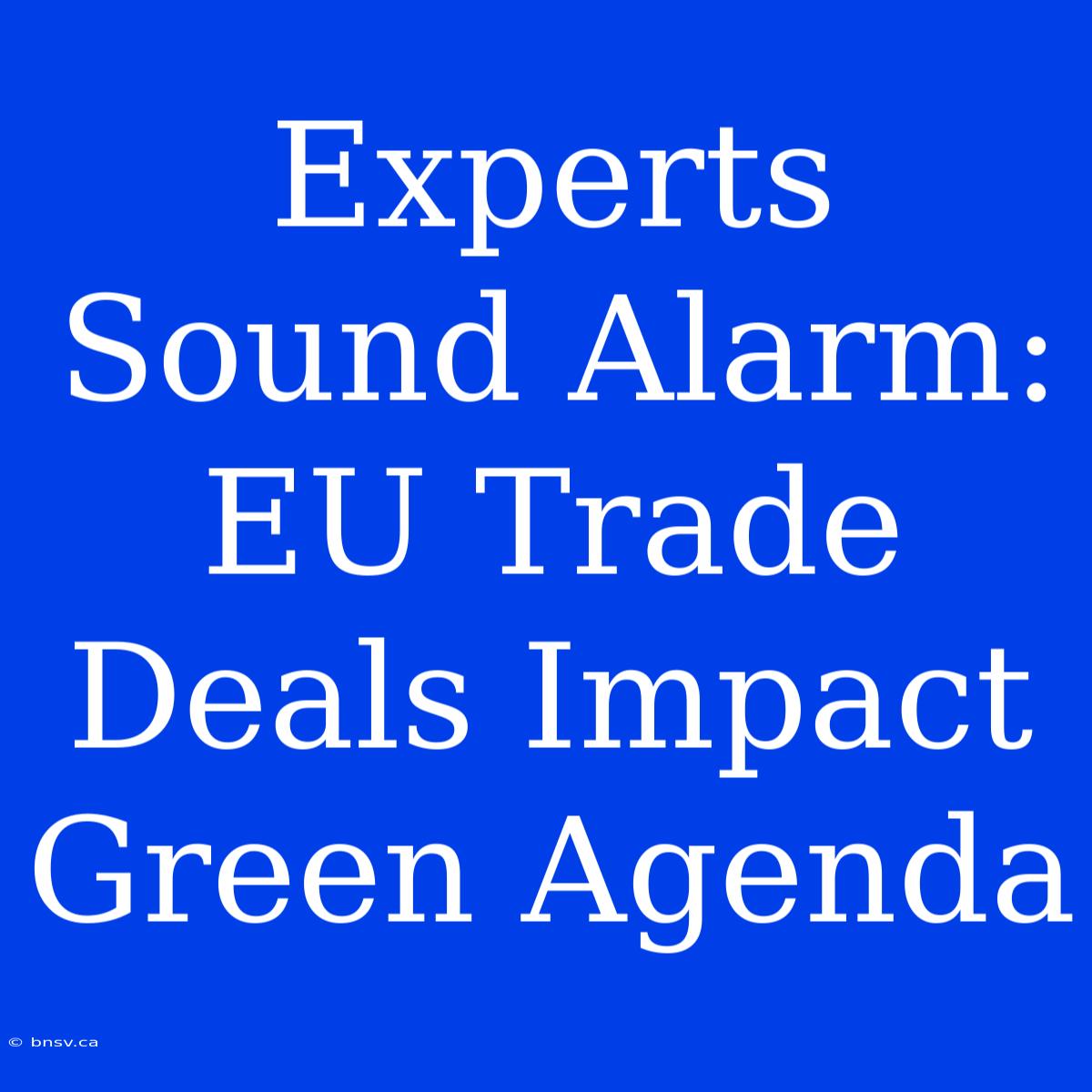 Experts Sound Alarm: EU Trade Deals Impact Green Agenda