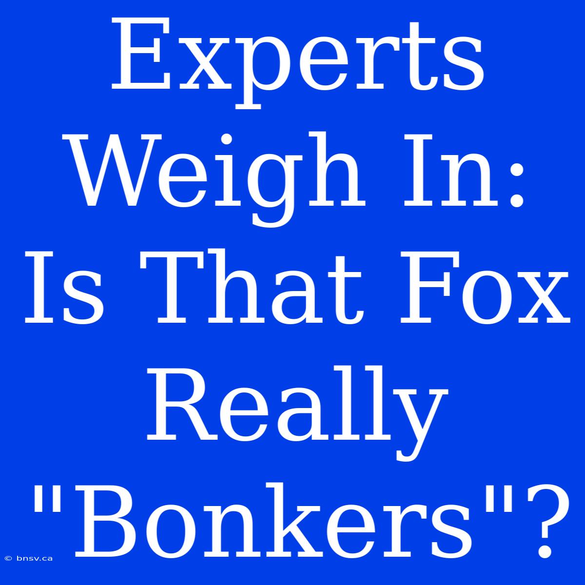 Experts Weigh In: Is That Fox Really 