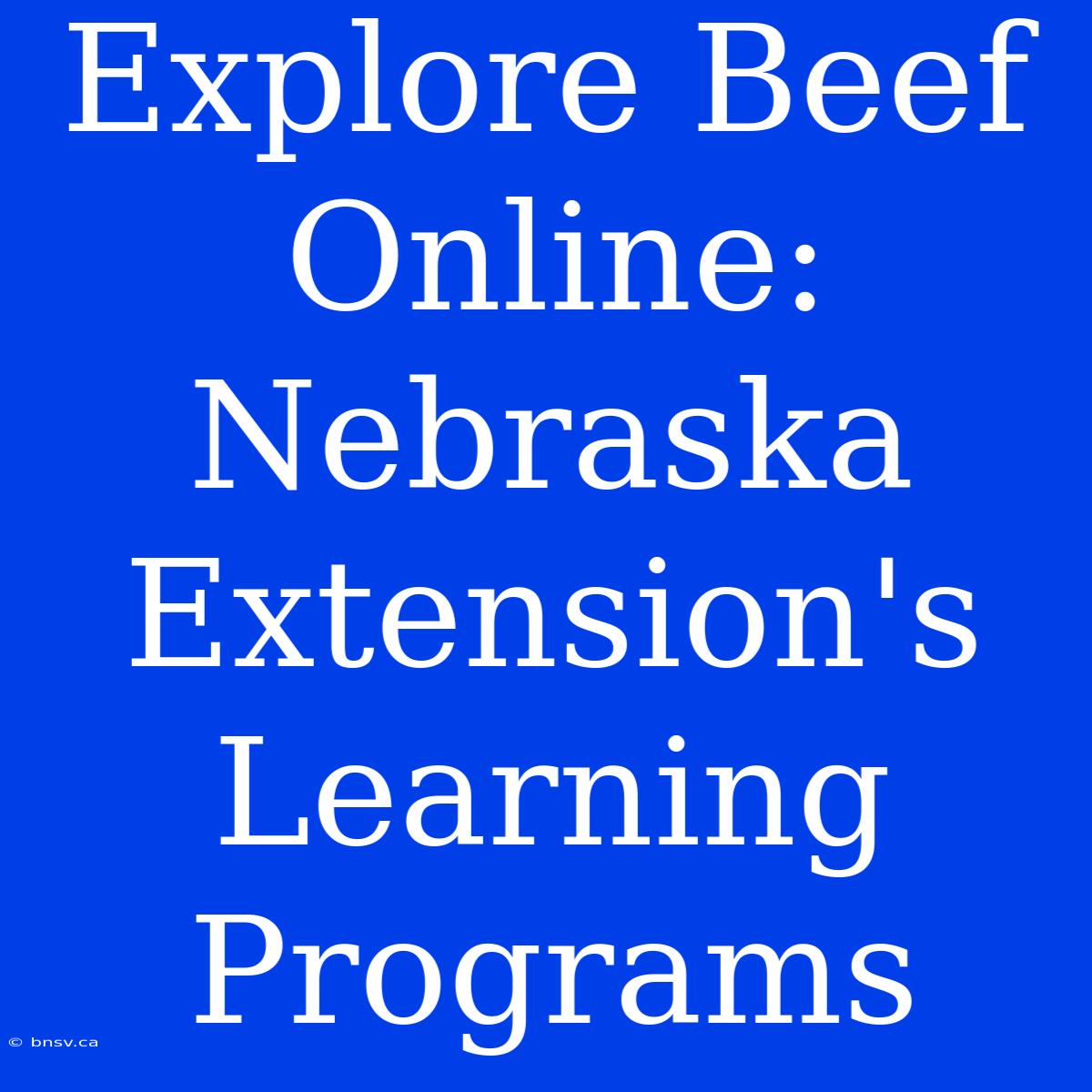 Explore Beef Online: Nebraska Extension's Learning Programs