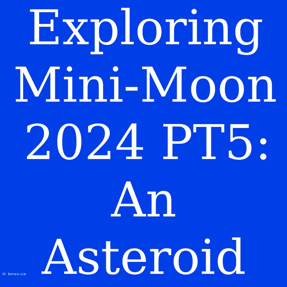 Exploring Mini-Moon 2024 PT5:  An Asteroid