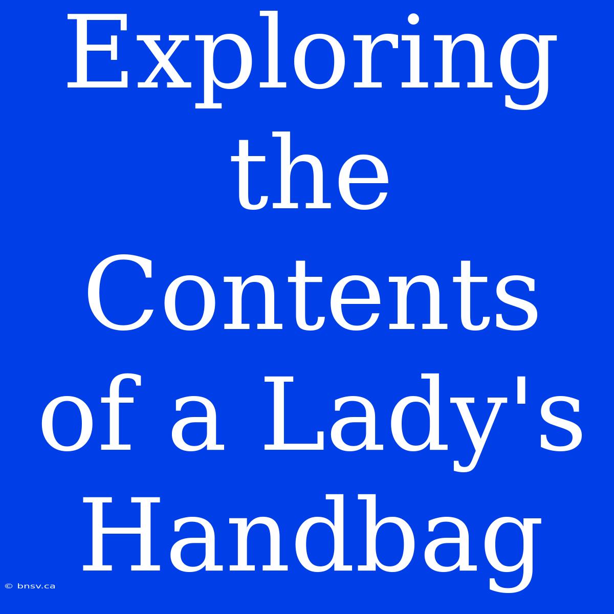 Exploring The Contents Of A Lady's Handbag