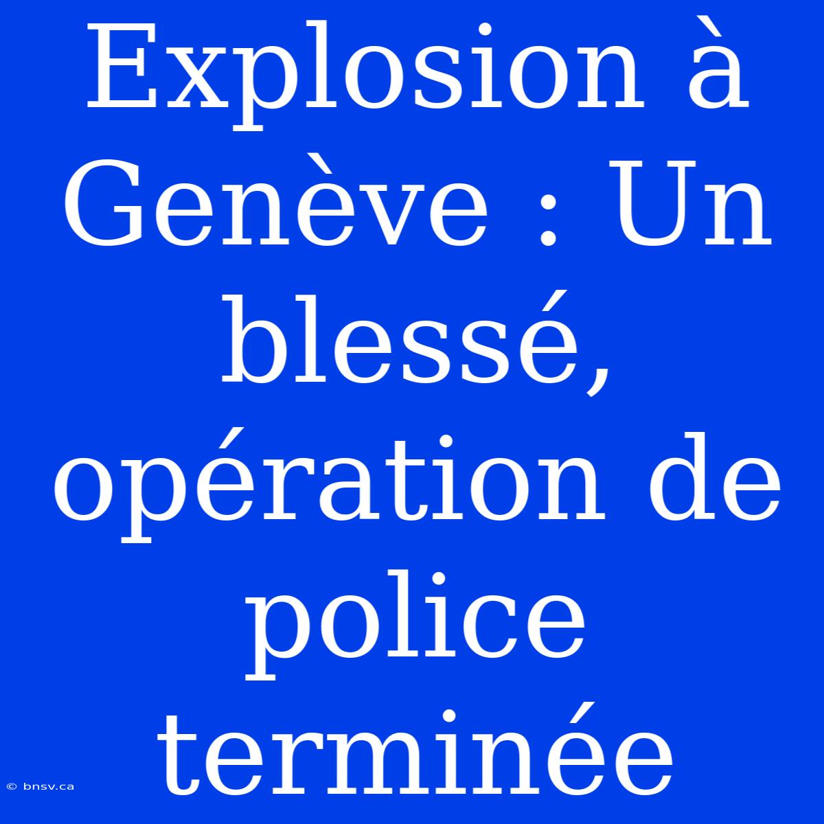 Explosion À Genève : Un Blessé, Opération De Police Terminée