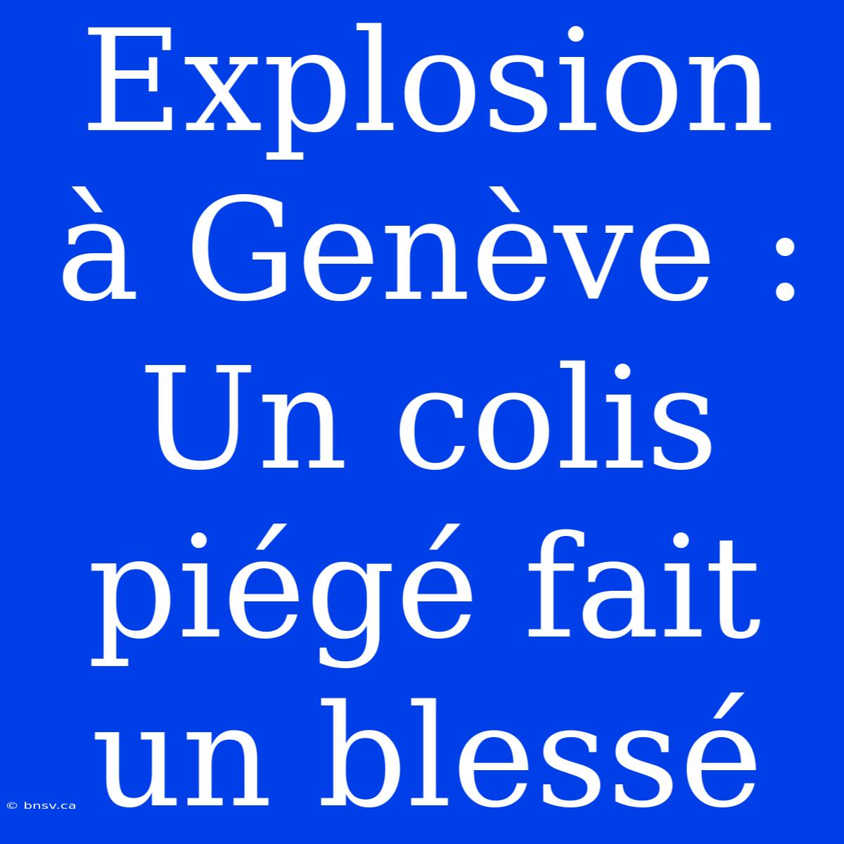 Explosion À Genève : Un Colis Piégé Fait Un Blessé