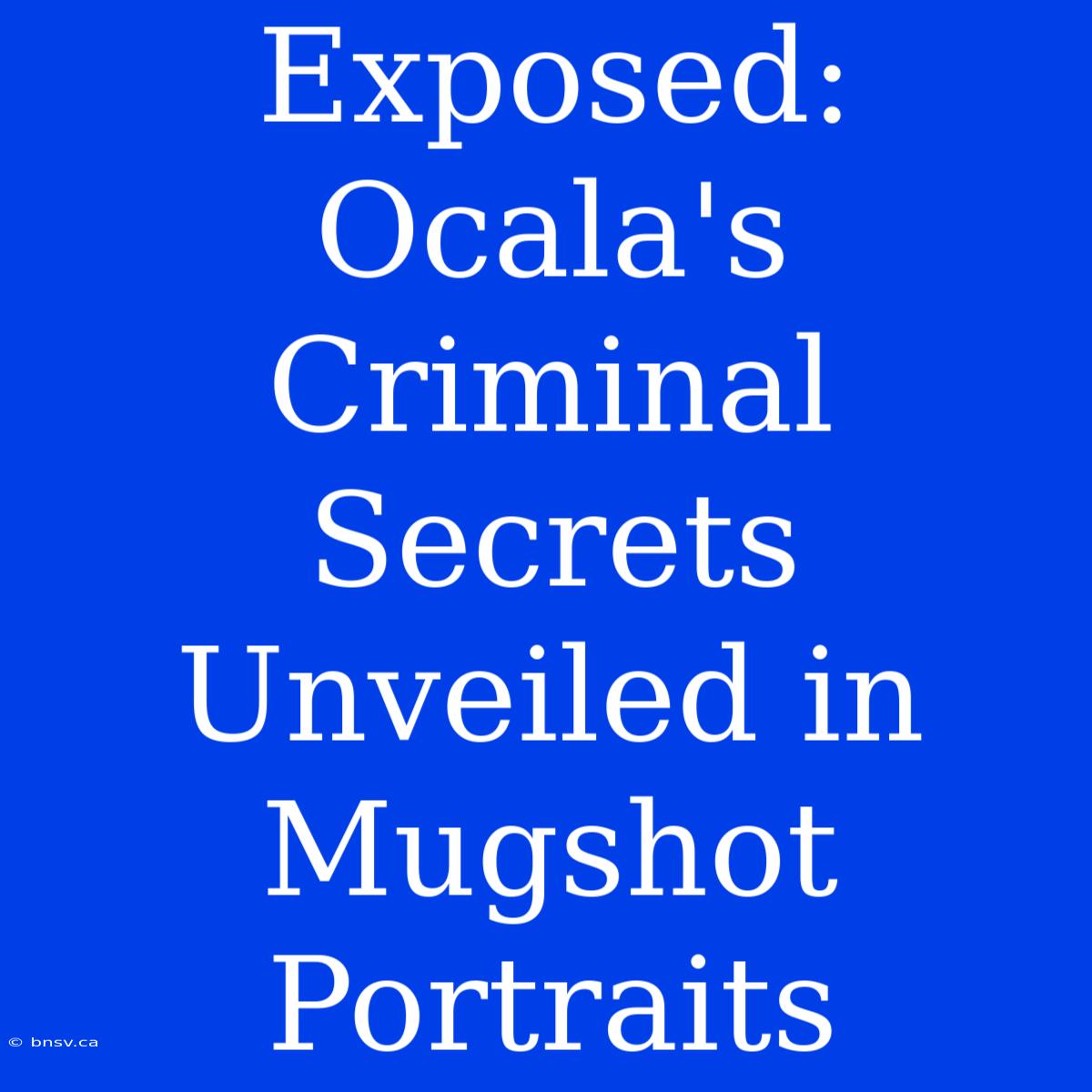 Exposed: Ocala's Criminal Secrets Unveiled In Mugshot Portraits