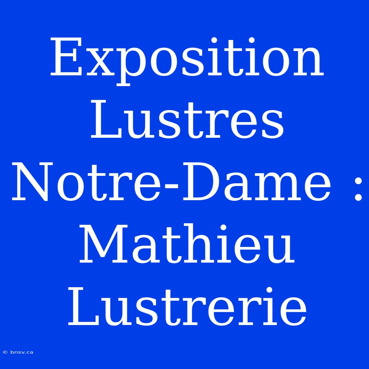 Exposition Lustres Notre-Dame : Mathieu Lustrerie