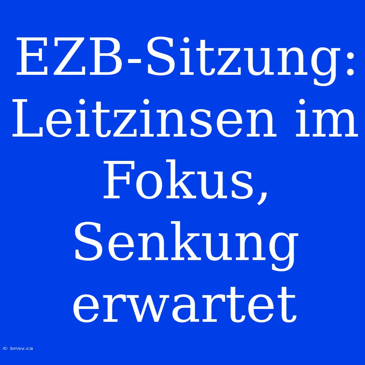 EZB-Sitzung: Leitzinsen Im Fokus, Senkung Erwartet