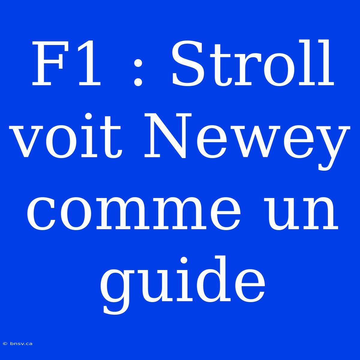 F1 : Stroll Voit Newey Comme Un Guide