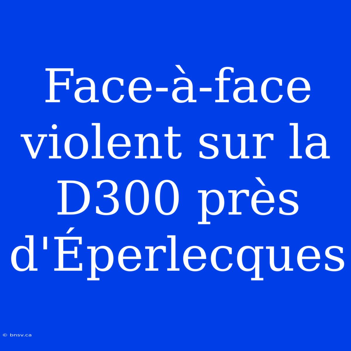 Face-à-face Violent Sur La D300 Près D'Éperlecques