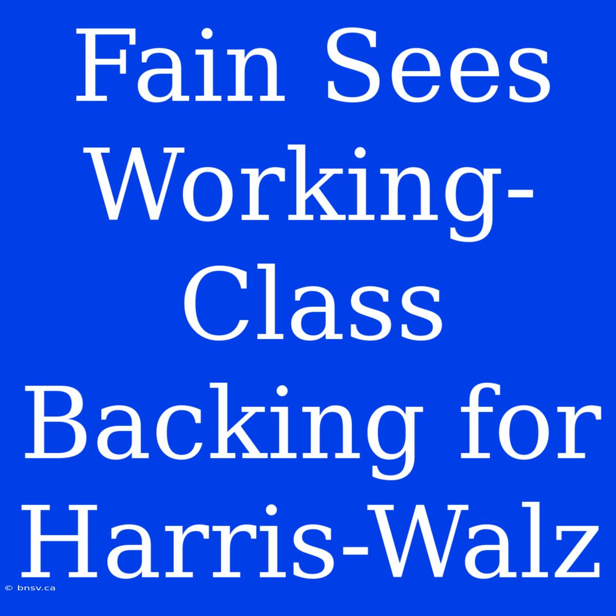 Fain Sees Working-Class Backing For Harris-Walz