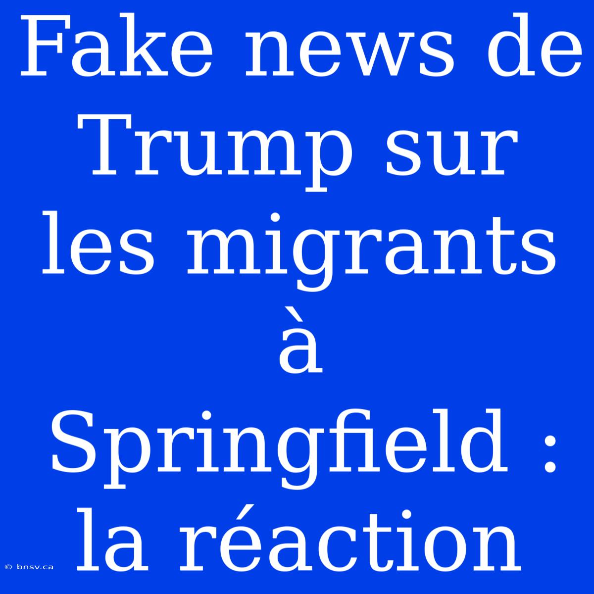 Fake News De Trump Sur Les Migrants À Springfield : La Réaction