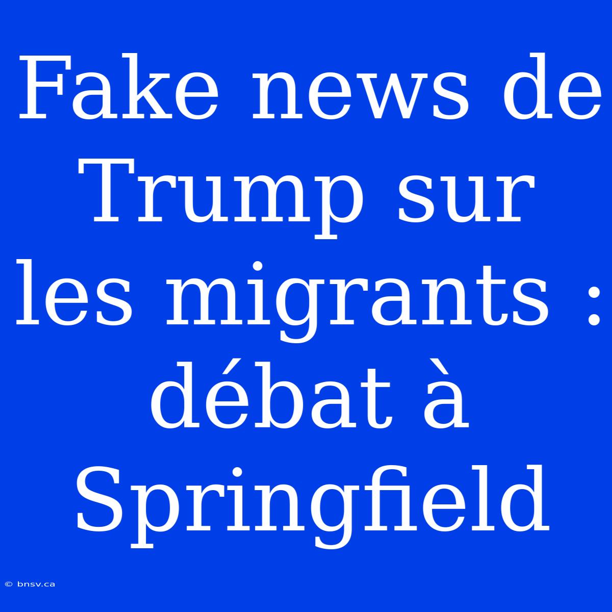 Fake News De Trump Sur Les Migrants : Débat À Springfield