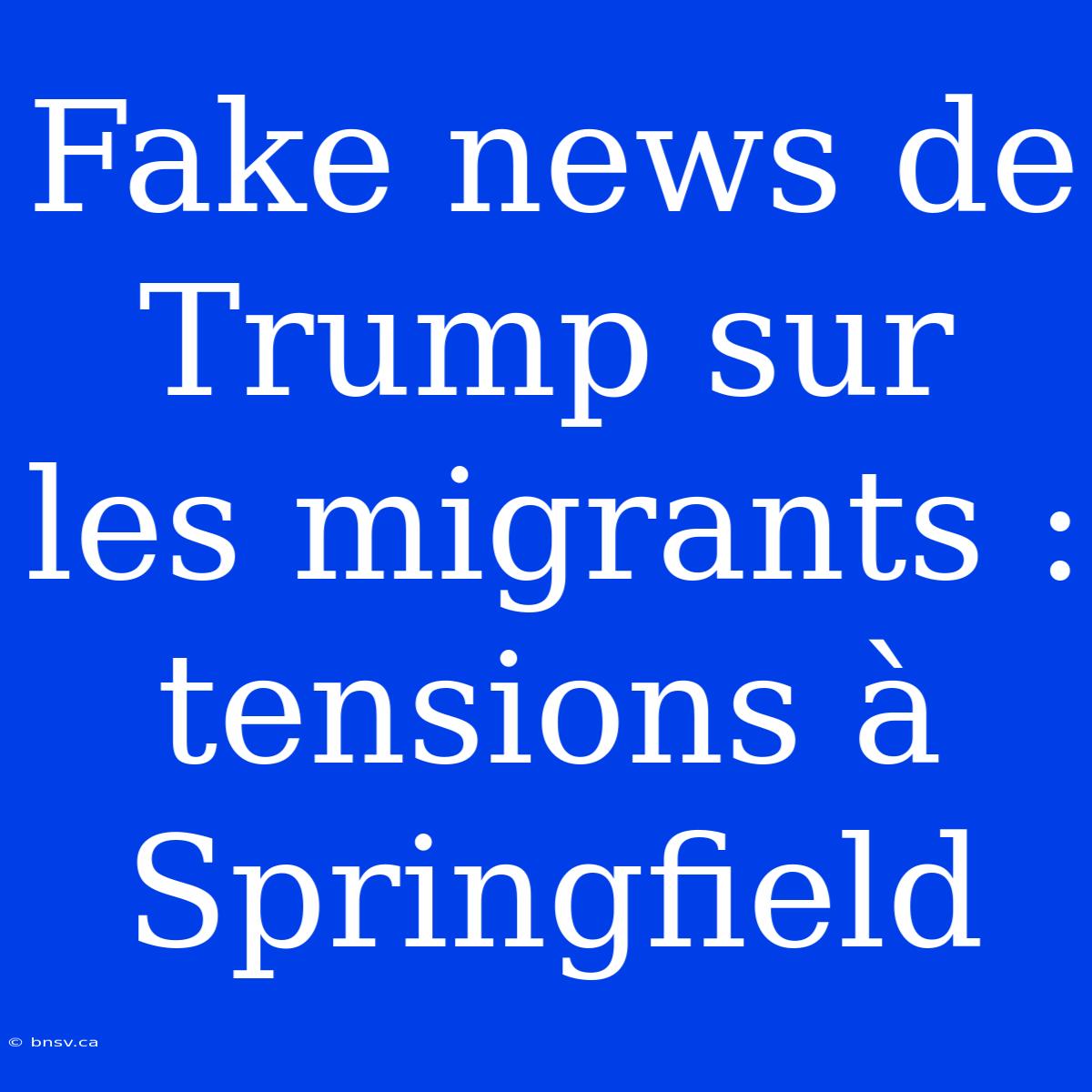 Fake News De Trump Sur Les Migrants : Tensions À Springfield