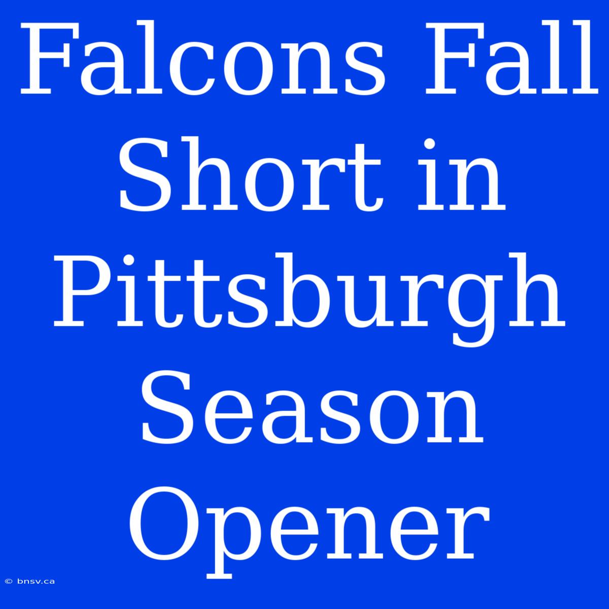 Falcons Fall Short In Pittsburgh Season Opener