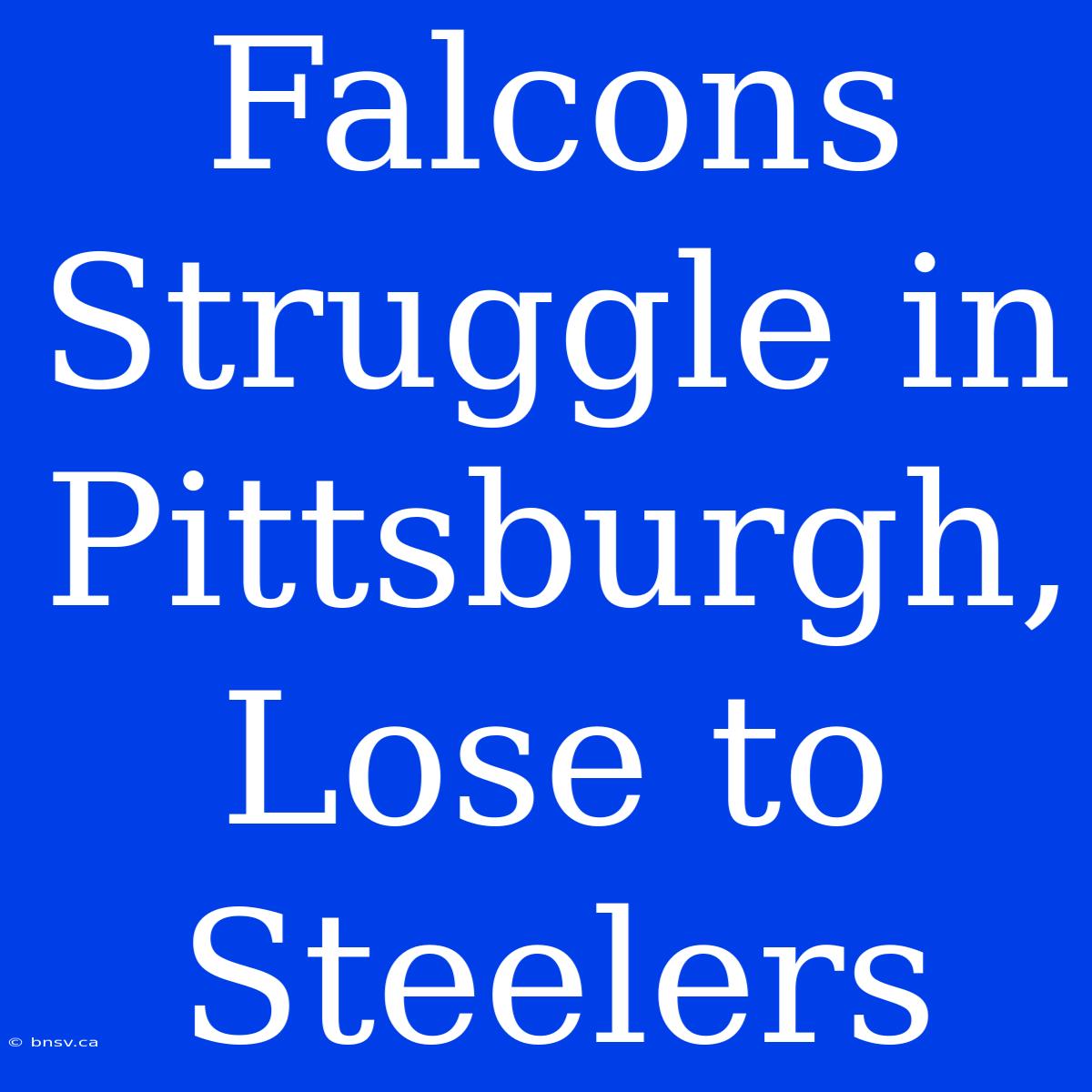 Falcons Struggle In Pittsburgh, Lose To Steelers