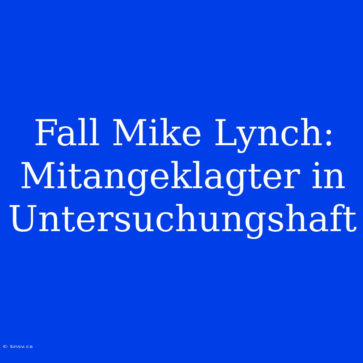 Fall Mike Lynch: Mitangeklagter In Untersuchungshaft