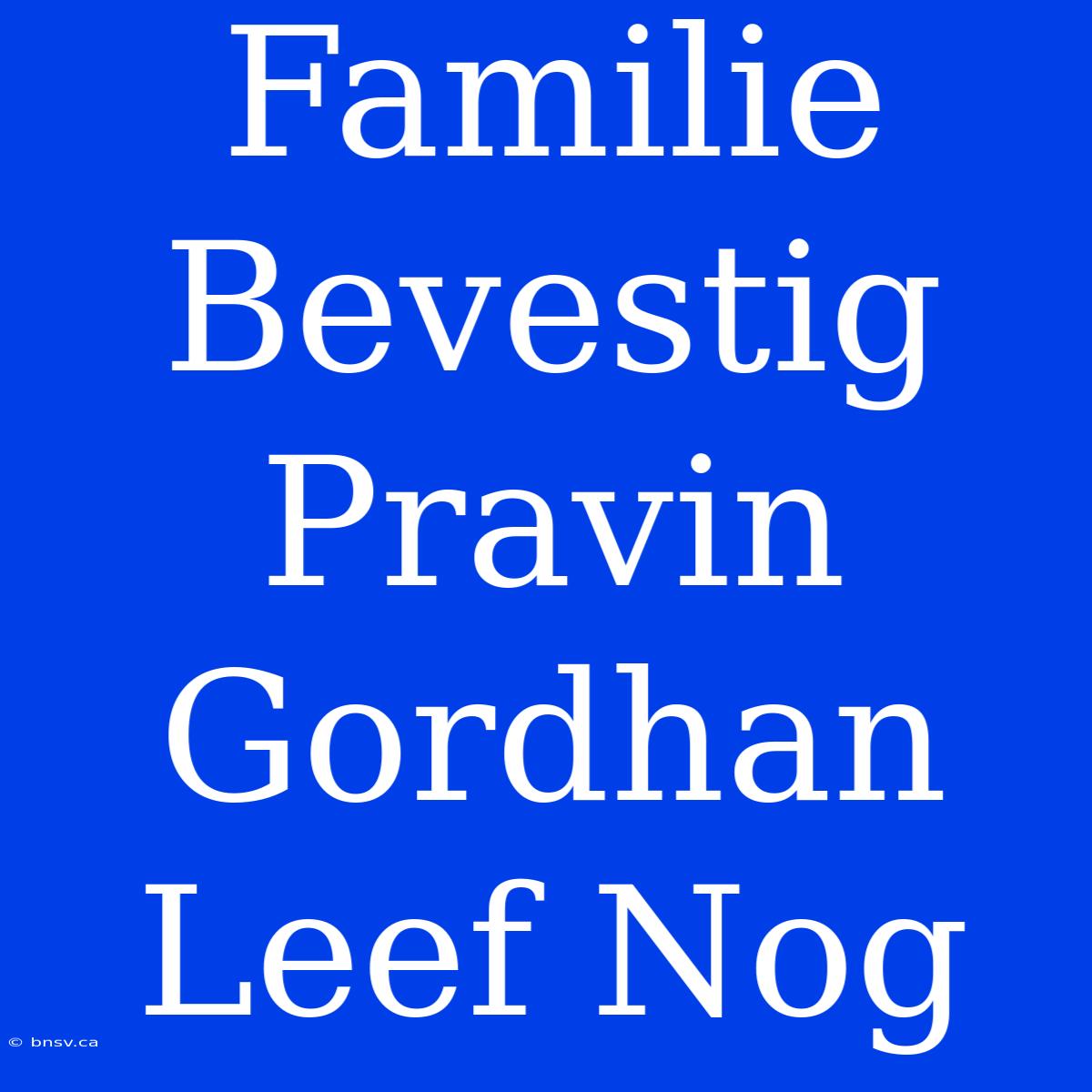 Familie Bevestig Pravin Gordhan Leef Nog