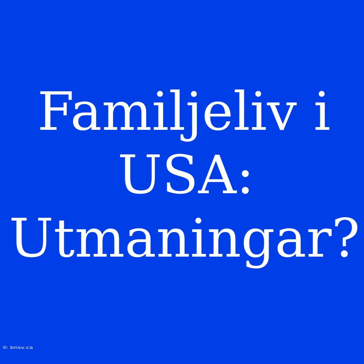 Familjeliv I USA: Utmaningar?