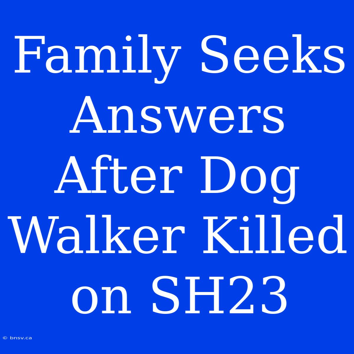 Family Seeks Answers After Dog Walker Killed On SH23