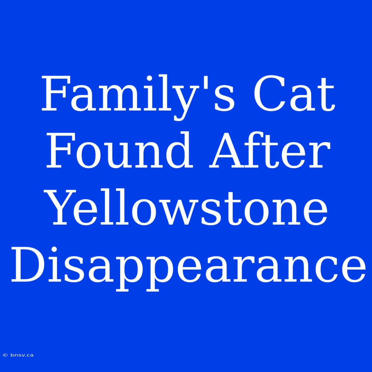 Family's Cat Found After Yellowstone Disappearance