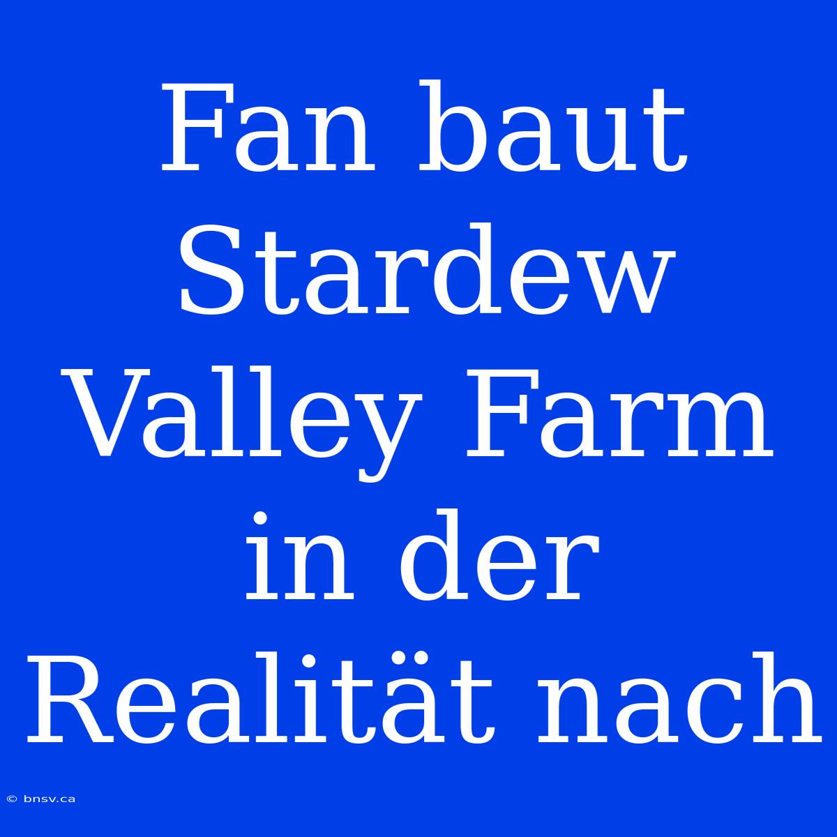 Fan Baut Stardew Valley Farm In Der Realität Nach