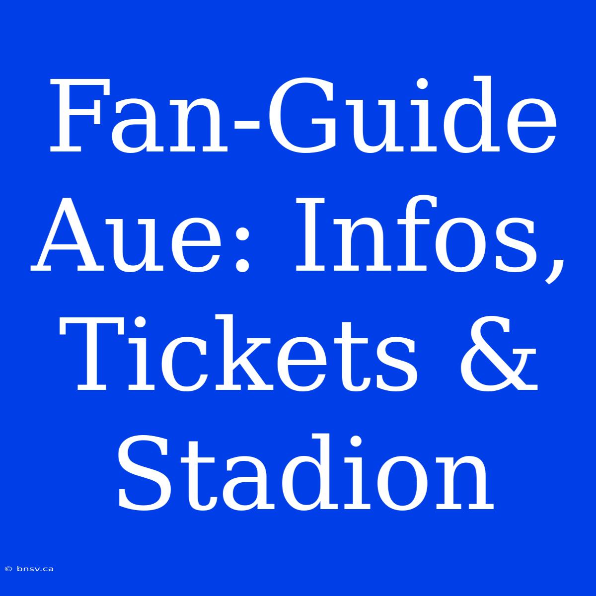 Fan-Guide Aue: Infos, Tickets & Stadion