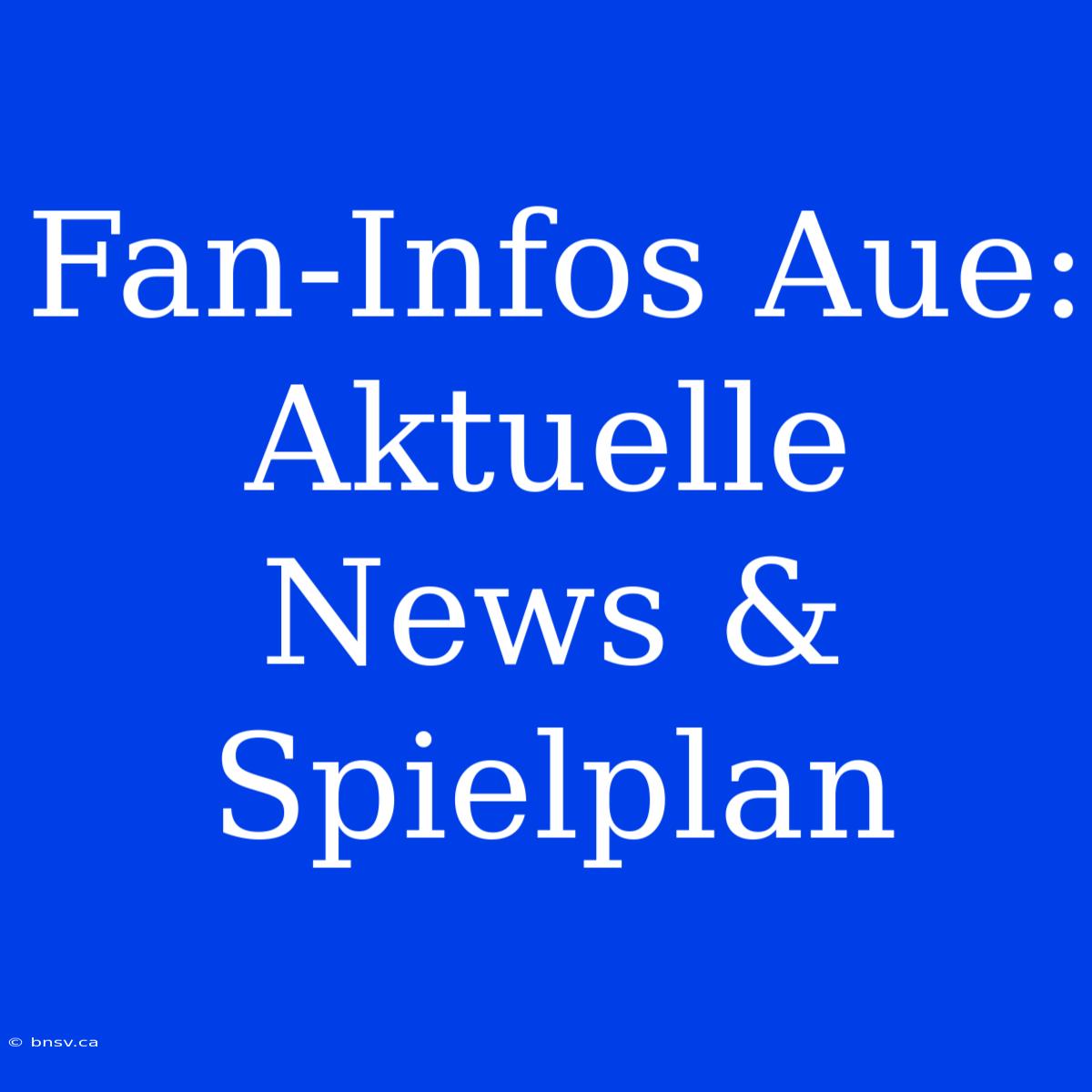 Fan-Infos Aue: Aktuelle News & Spielplan