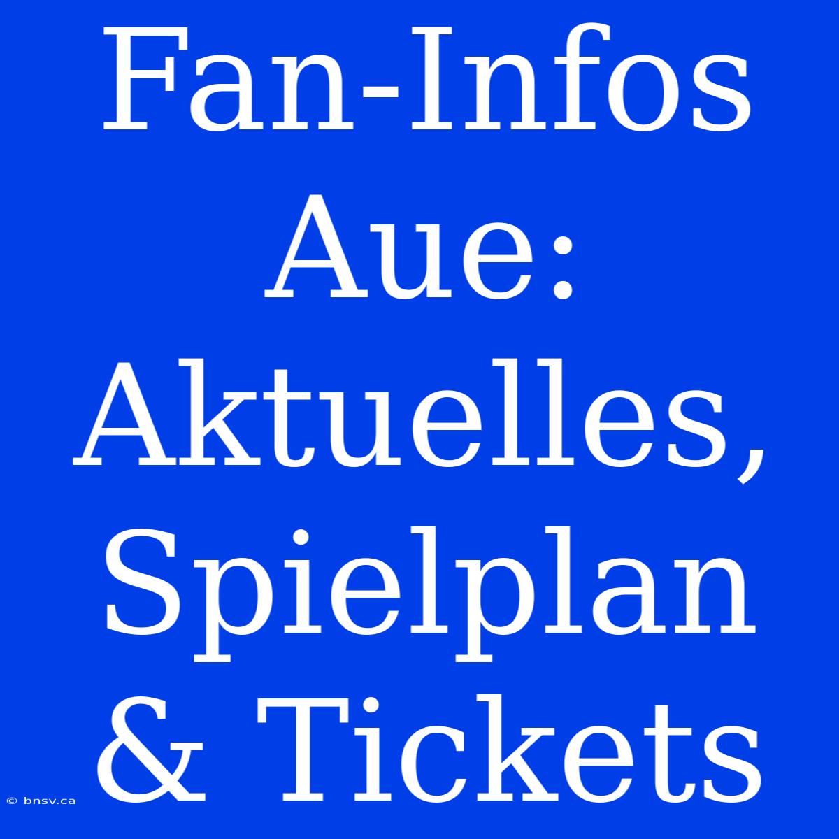 Fan-Infos Aue: Aktuelles, Spielplan & Tickets