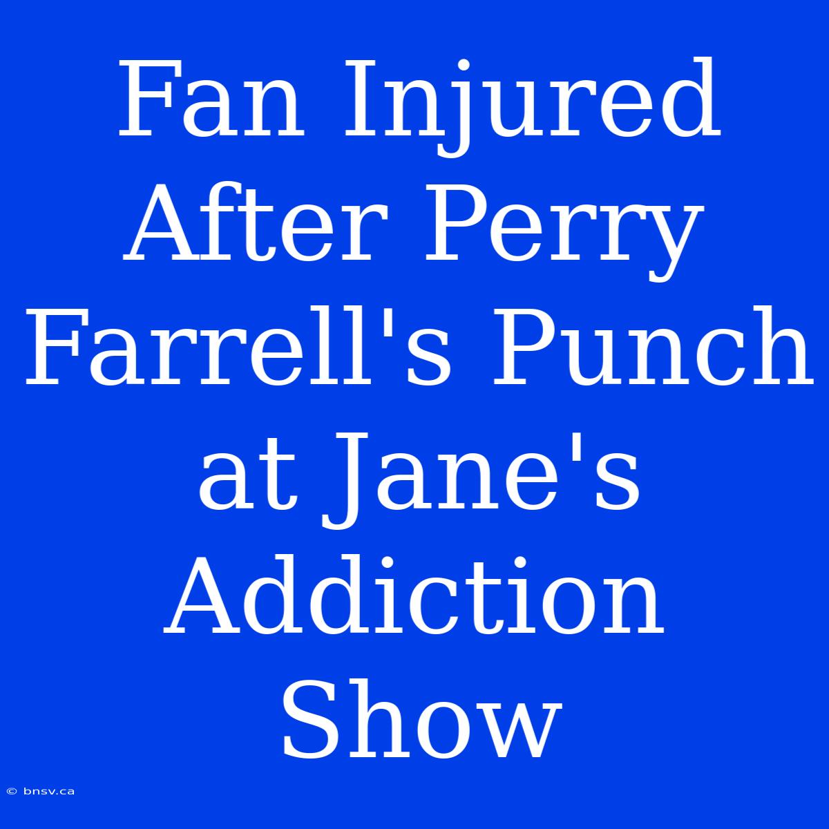 Fan Injured After Perry Farrell's Punch At Jane's Addiction Show