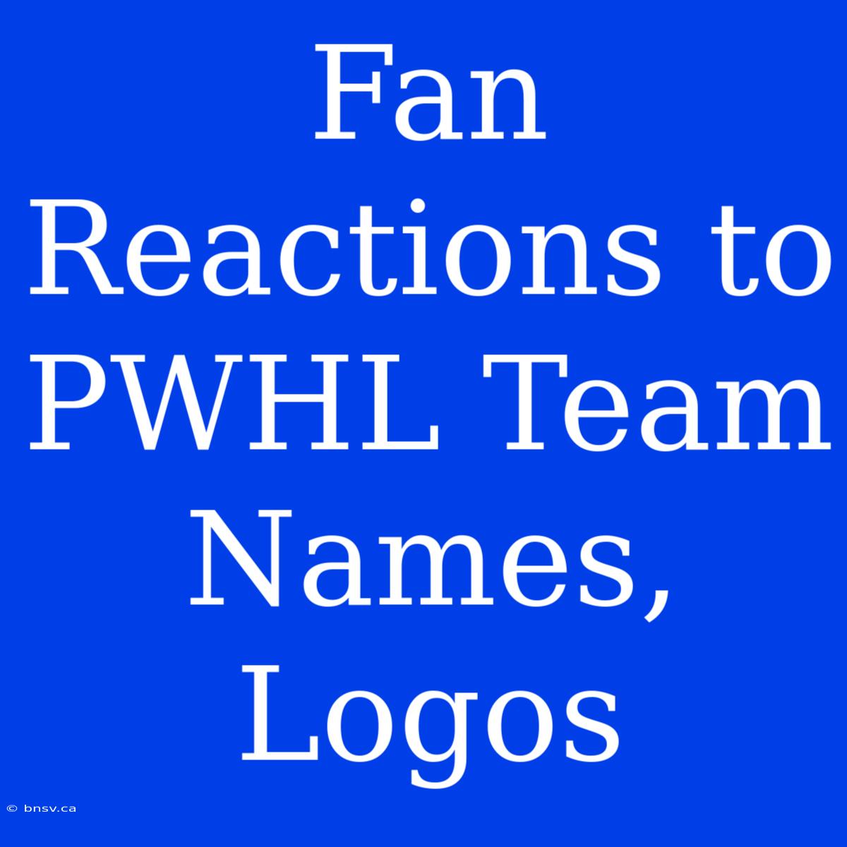 Fan Reactions To PWHL Team Names, Logos