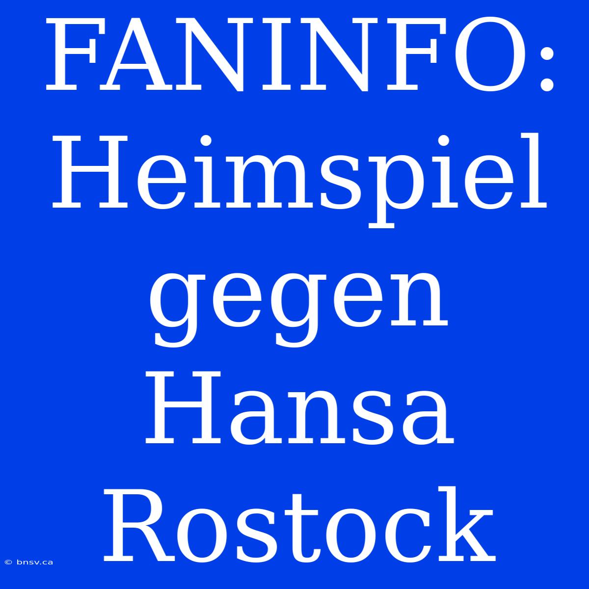 FANINFO: Heimspiel Gegen Hansa Rostock