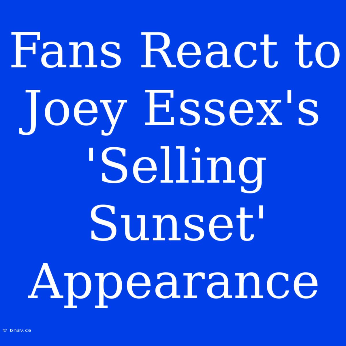 Fans React To Joey Essex's 'Selling Sunset' Appearance