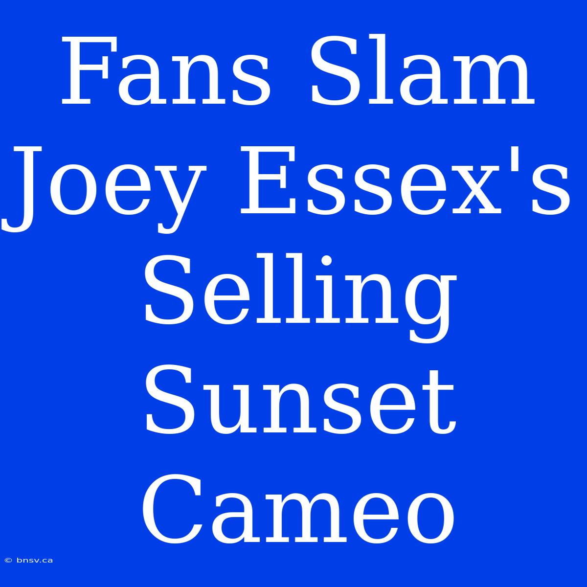 Fans Slam Joey Essex's Selling Sunset Cameo