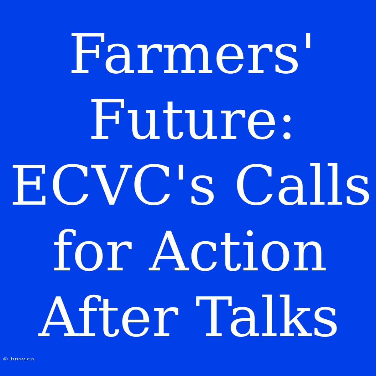 Farmers' Future: ECVC's Calls For Action After Talks