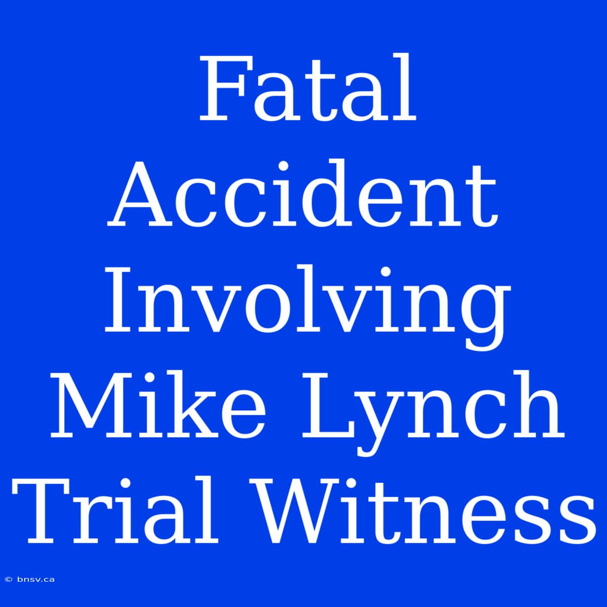 Fatal Accident Involving Mike Lynch Trial Witness