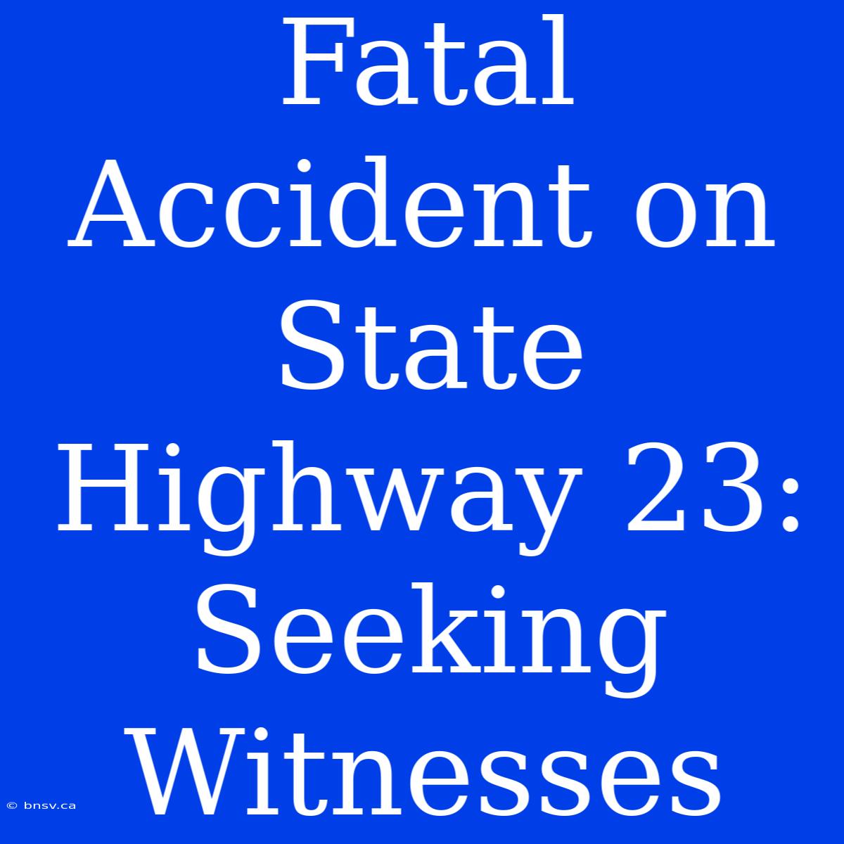 Fatal Accident On State Highway 23: Seeking Witnesses