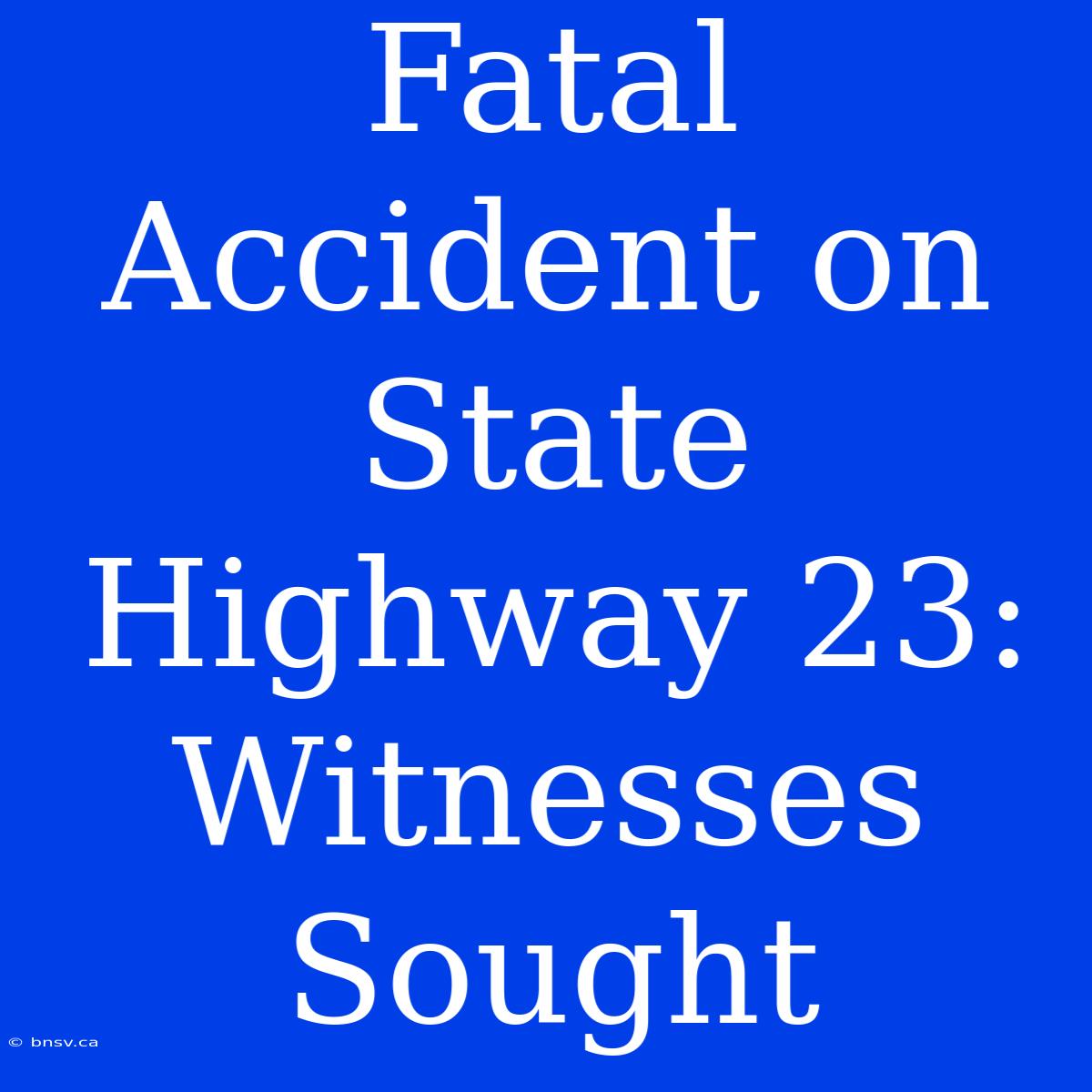 Fatal Accident On State Highway 23: Witnesses Sought