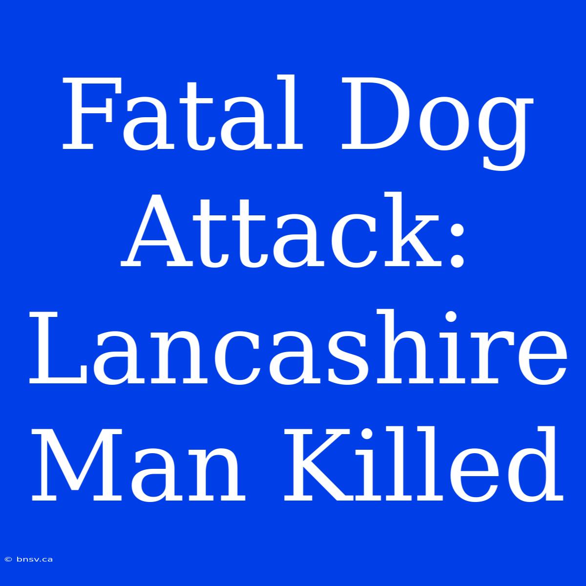 Fatal Dog Attack: Lancashire Man Killed