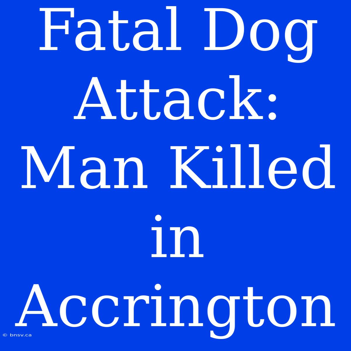 Fatal Dog Attack: Man Killed In Accrington