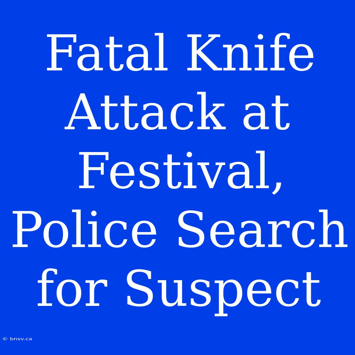 Fatal Knife Attack At Festival, Police Search For Suspect